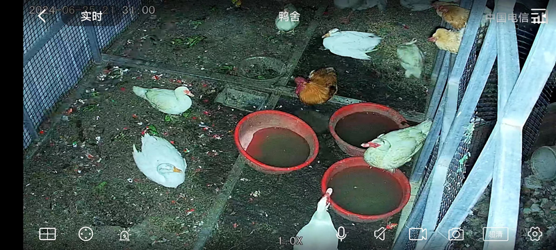 漯河市召陵区邓襄镇韩店村后院地种西瓜4G臻全彩球机